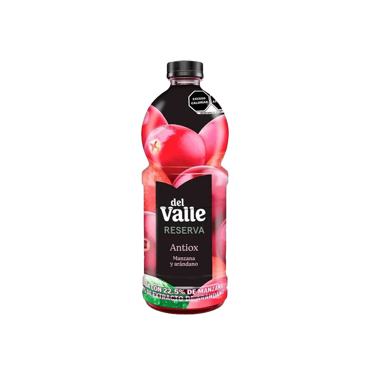 Jugo Arándanos 1 Lt