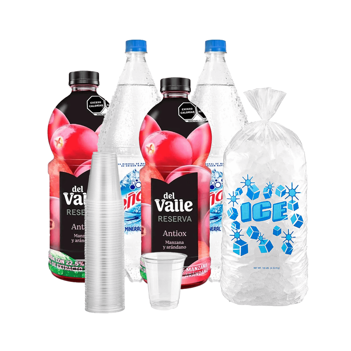 Combo Clásico Jugo de Arándano